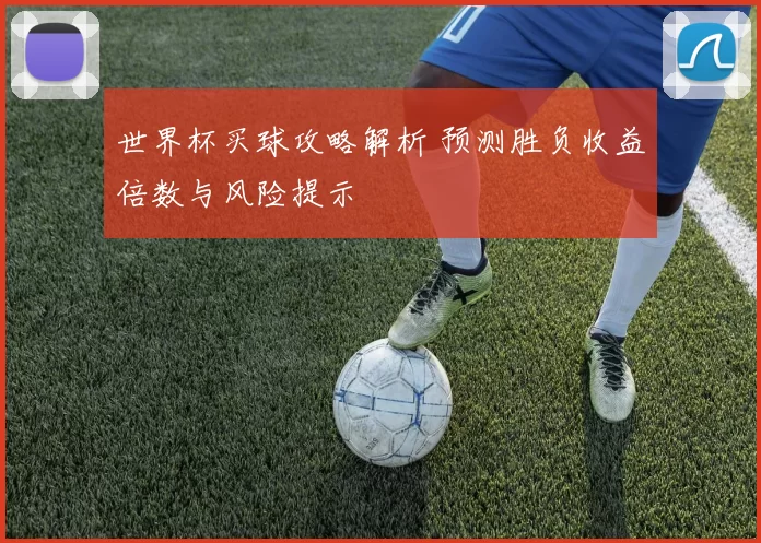 世界杯买球攻略解析 预测胜负收益倍数与风险提示